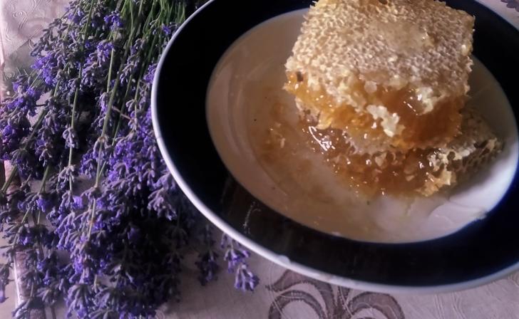 В Курске в августе в течение всех выходных пройдет ярмарка «Курский мёд»