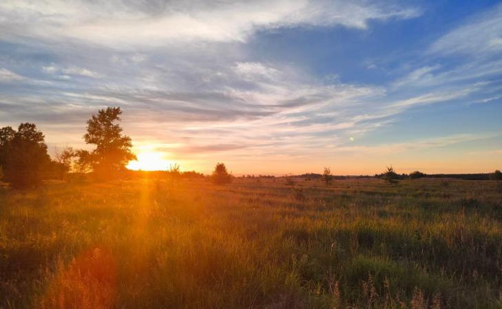 17 июля в Курской области ожидается солнечная погода и до 27 градусов тепла