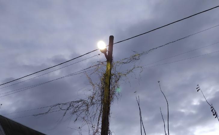 В Курске за неделю поступило 34 жалобы на работу уличного освещения