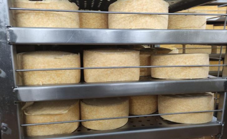 Курский производитель масла и сыра лишился двух деклараций о соответствии продукции