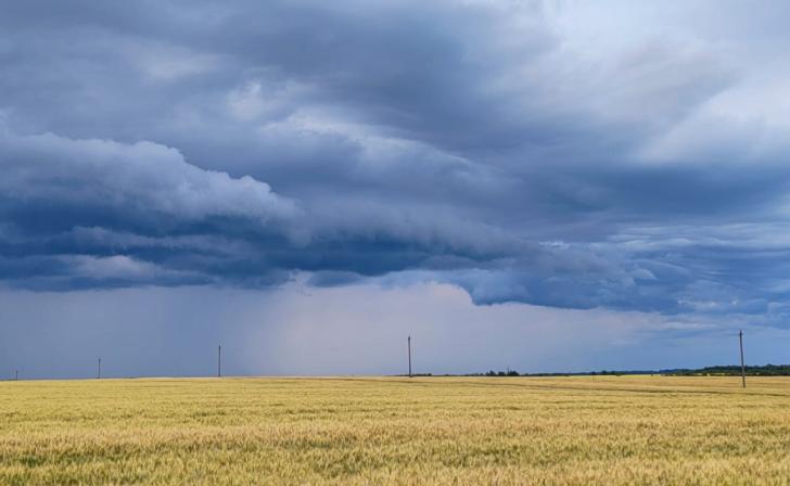 В Курской области 22 июля ожидаются дожди и грозы