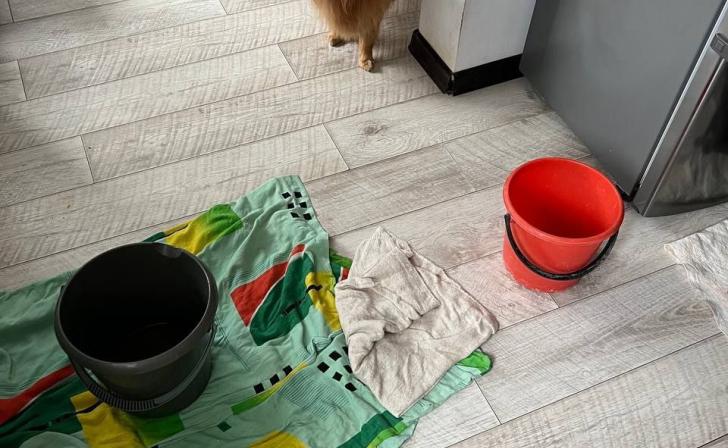 В Фонде капремонта прокомментировали ситуацию с затопленными квартирами на Ленина,74 в Курске В Фонде капремонта прокомментировали ситуацию с затопленными квартирами на Ленина,74 в Курске