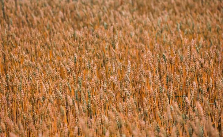 Спасатели посетили одно из сельхозпредприятий в Обоянском районе Курской области Спасатели посетили одно из сельхозпредприятий в Обоянском районе Курской области
