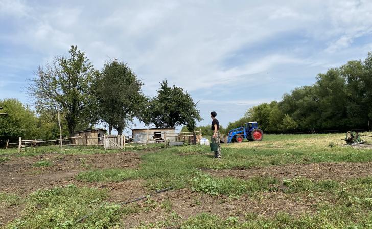 В Курской области награжденные участники СВО смогут получить бесплатные земельные участки В Курской области награжденные участники СВО смогут получить бесплатные земельные участки
