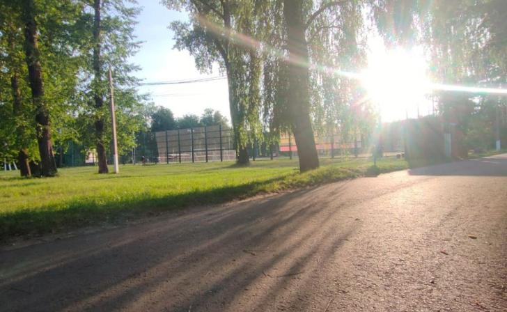 Курян приглашают на занятие по йоге на траве