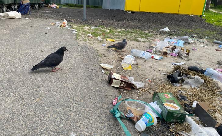 Глава Кореневского района сообщила об экстренной ситуации из-за поломки мусоровоза