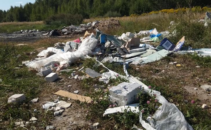 Прокуратура Курского района выиграла иск о ликвидации несанкционированной свалки в лесополосе