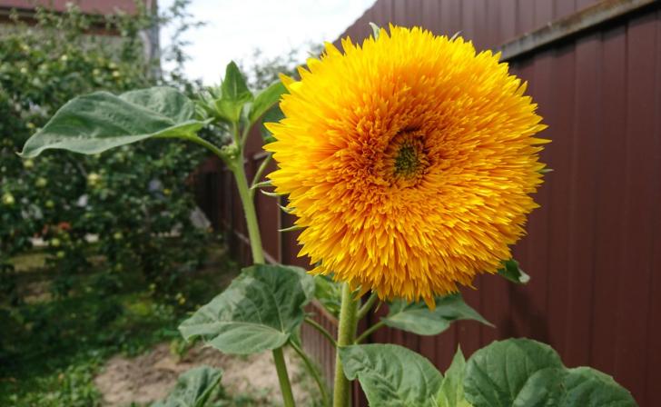 В Курске 6 сентября будет облачно с прояснениями, завтра похолодает до 19 градусов