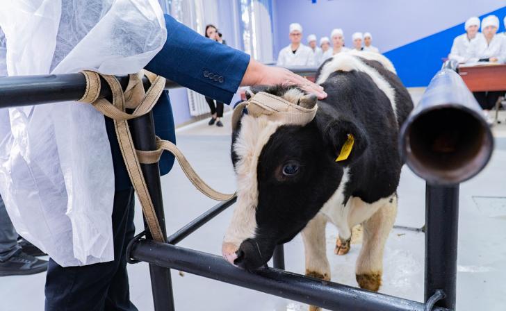 В Курском ГАУ после ремонта открылась ветеринарная клиника