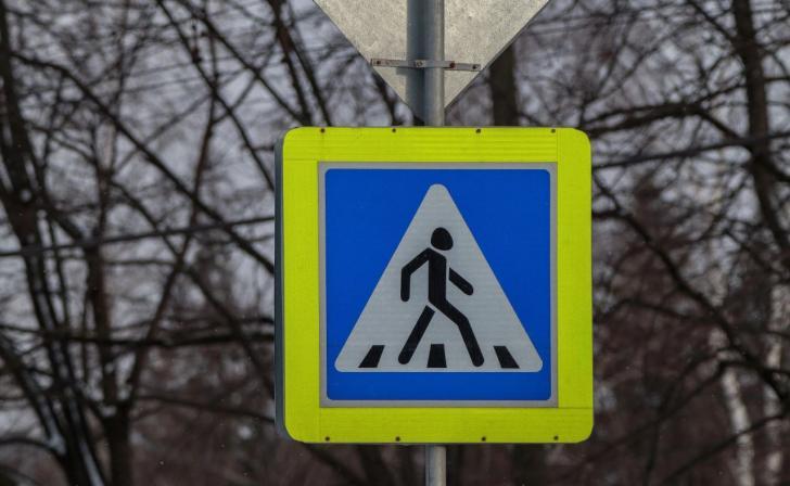 В Курской области 36 пешеходов нарушили ПДД