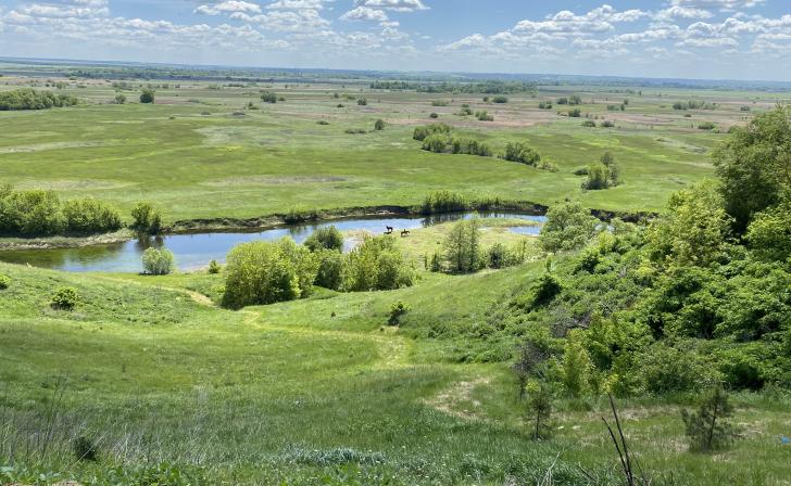 Сотрудники Минприроды обследовали в Курской области пять памятников природы