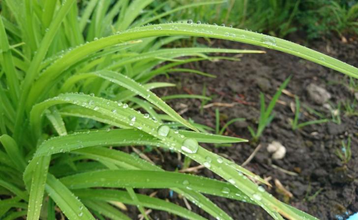 В Курске 2 октября днем будет переменная облачность и плюс 17 градусов