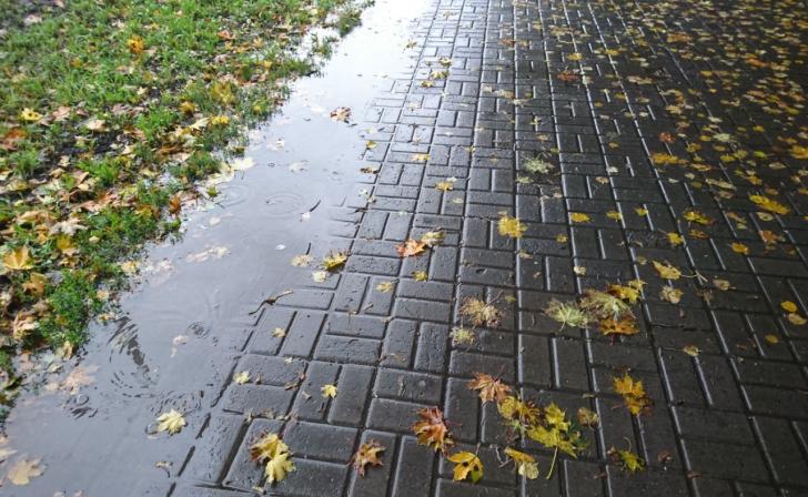 В Курске 6 октября будет плюс 13, на выходных обещают дожди