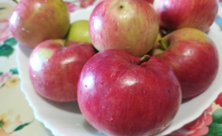 В Курском районе полицейские нашли вора с помощью надкушенного яблока В Курском районе полицейские нашли вора с помощью надкушенного яблока