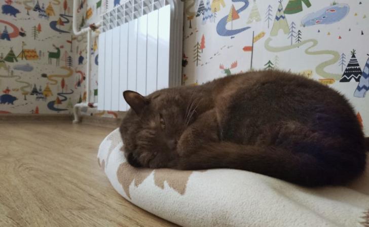 Курянка пожаловалась на отсутствие отопления в одном подъезде дома на пр.Дружбы