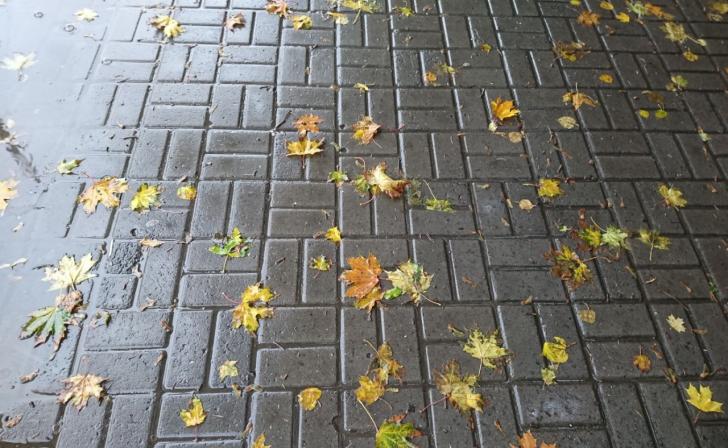 В Курске 27 октября будет идти дождь и местами со снегом