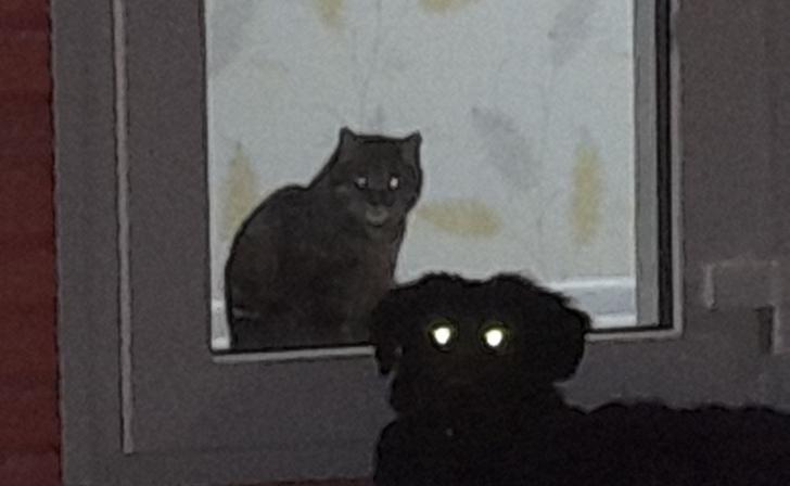 В Курске 31 октября днем будет плюс 17, облачно с прояснениями и без осадков