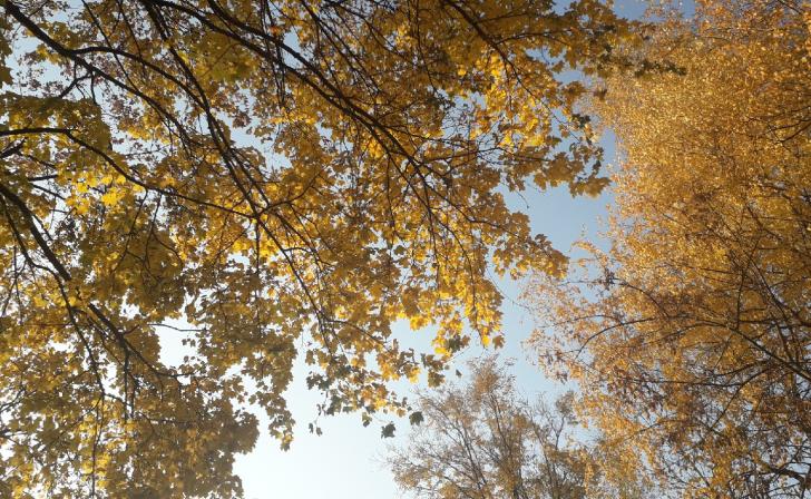 Воронежский музей-заповедник «Костенки» продлевает туристический сезон до 1 декабря