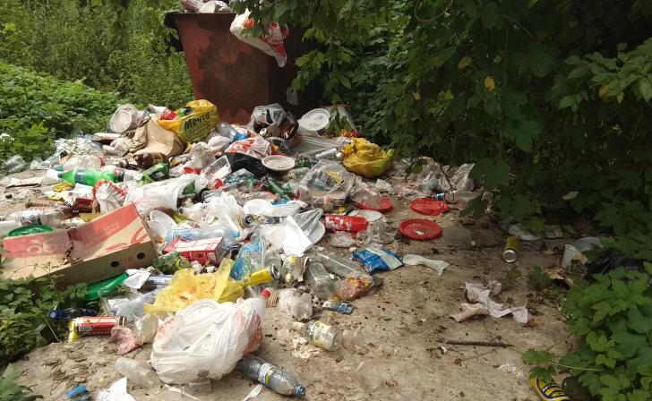 По требованию прокуратуры в селе Мантурово ликвидирована несанкционированная свалка