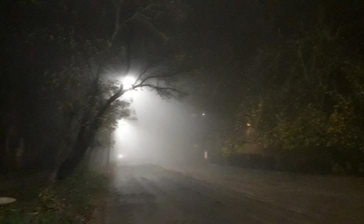 В Курской области 5 ноября ожидается усиление ветра, дожди и туман