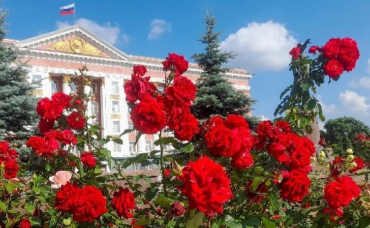 В Курской области родителям детей-инвалидов оплатили дополнительные выходные на 38 млн рублей