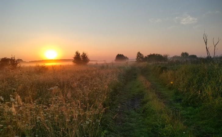 В Курской области количество промышленного мусора снизилось на 20,2%