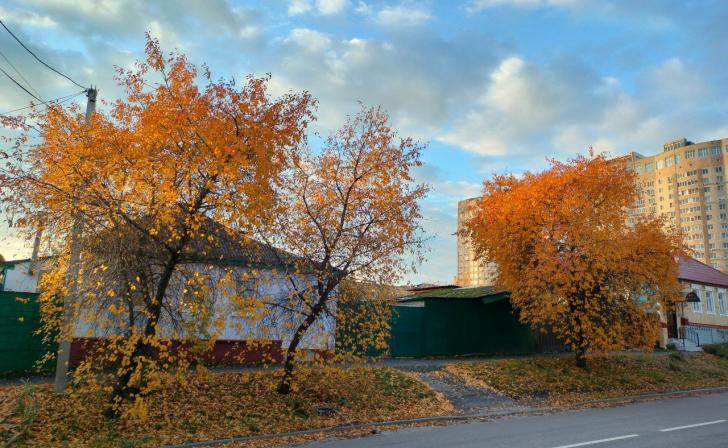 В Курске 8 ноября после обеда обещают дожди