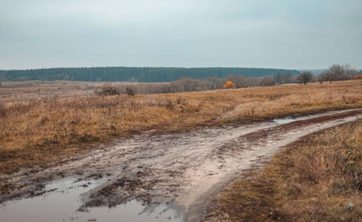 9 ноября в Курской области ожидаются дожди и порывистый ветер