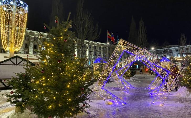 Самая маленькая живая елка обойдется курянам в 1500 рублей