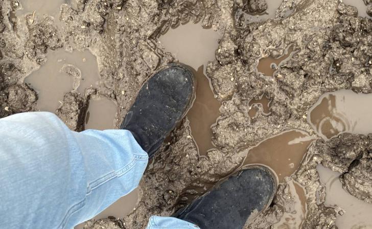 Рядом со строительной площадкой в центре Курска чиновники нашли грязь