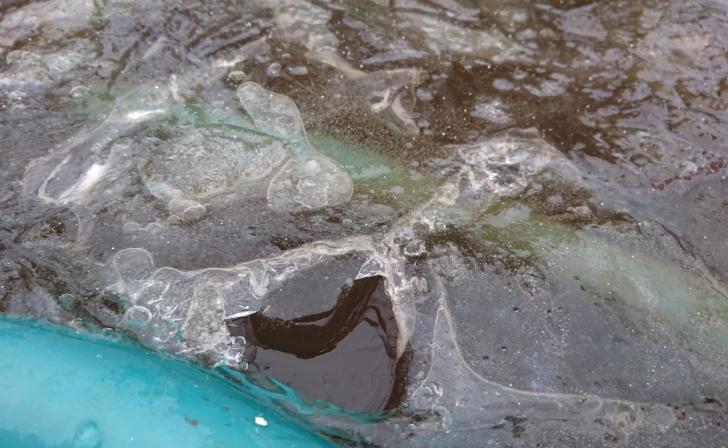 В Курске 20 ноября на весь день обещают снегопад