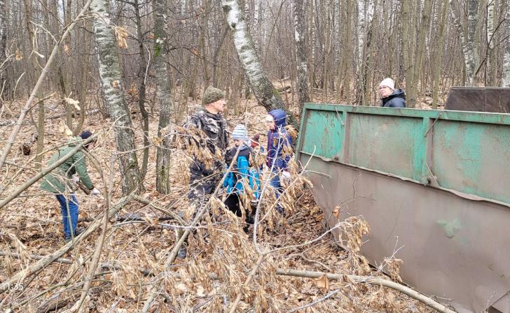 В Железногорске по застройке лесополосы пройдут новые слушания