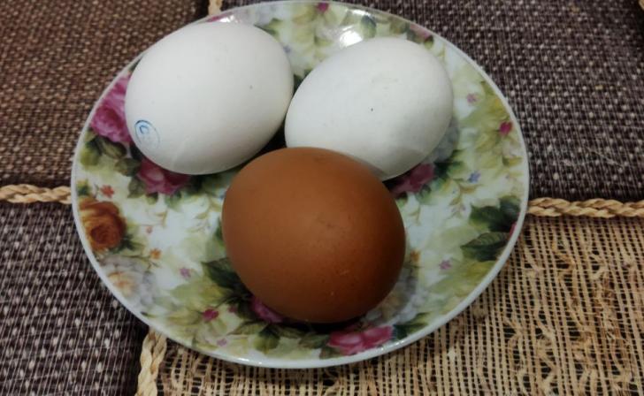 В Курской области цены на яйца за месяц выросли на 23% В Курской области цены на яйца за месяц выросли на 23%