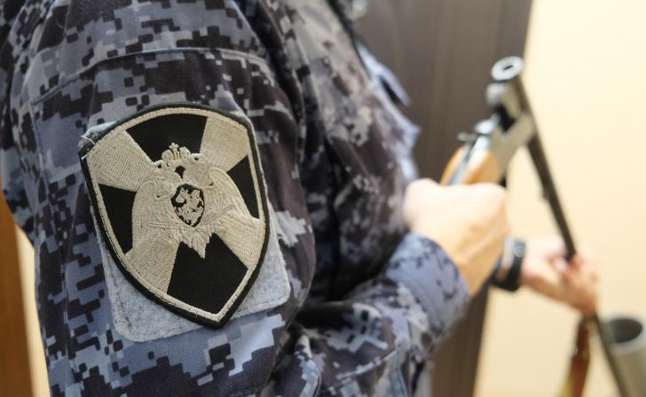 В Курской области росгвардейцы за год за нарушения изъяли 734 единицы оружия