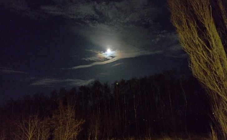 За ночь над Курской областью сбили 2 украинских беспилотника