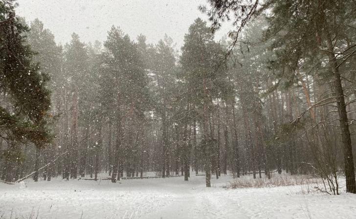 В Курской области 4 января ожидается сильный снегопад