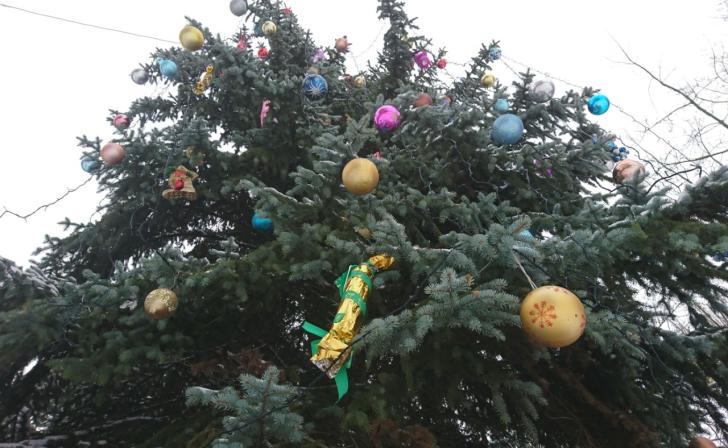 В Курской области фестиваль «Ёлки» переносится на 14 января