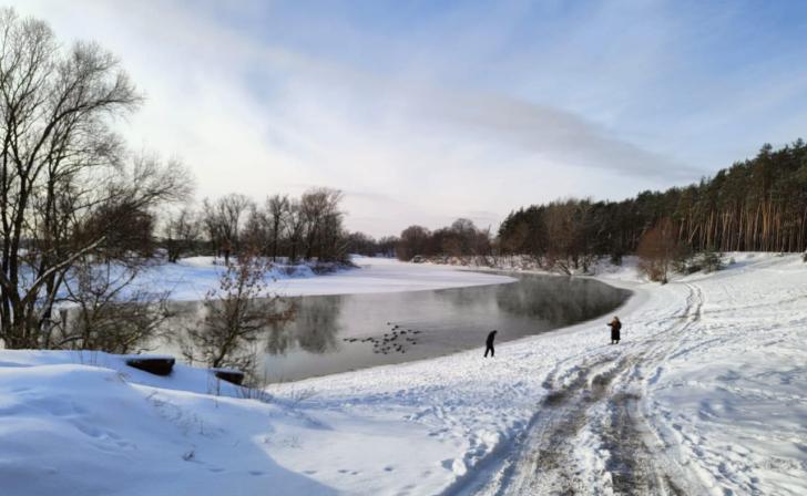 В Курске 9 января в течение дня небольшой снег и минус 12