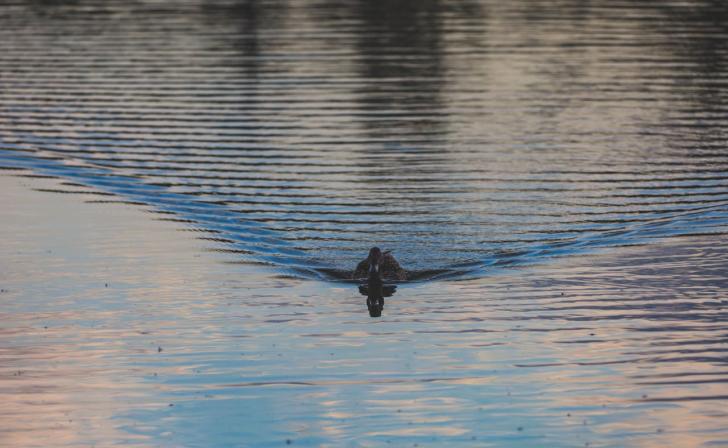 В Курской области начали готовиться к весеннему половодью