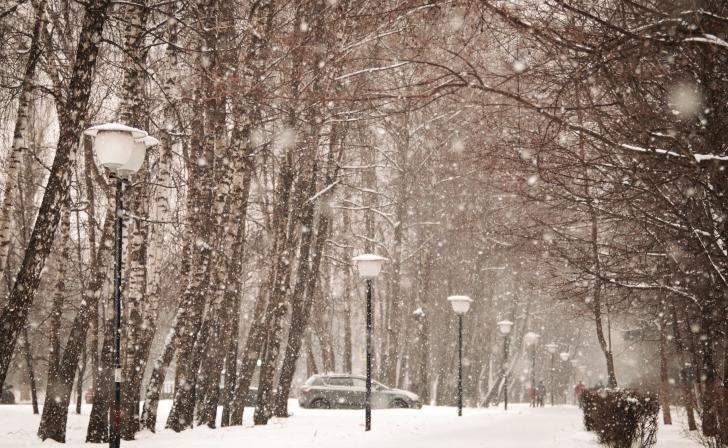В Курской области ожидается похолодание до 11 градусов мороза и сильный ветер