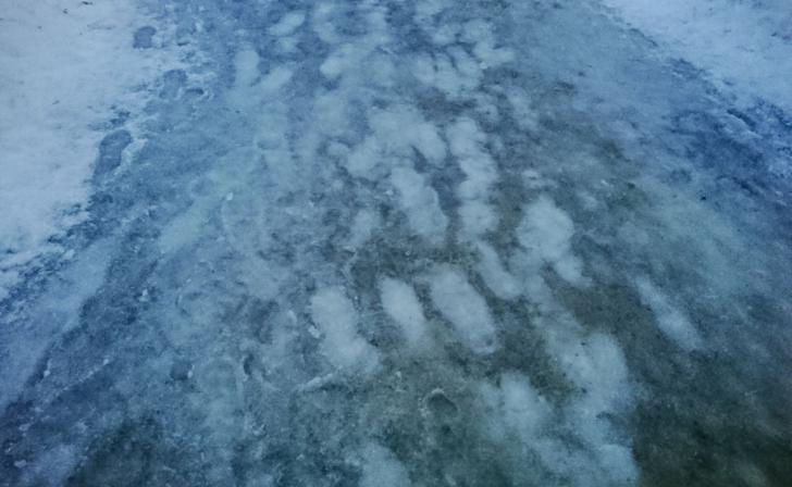 В Курске 19 января утром плюс 3, к вечеру обещают минус 4