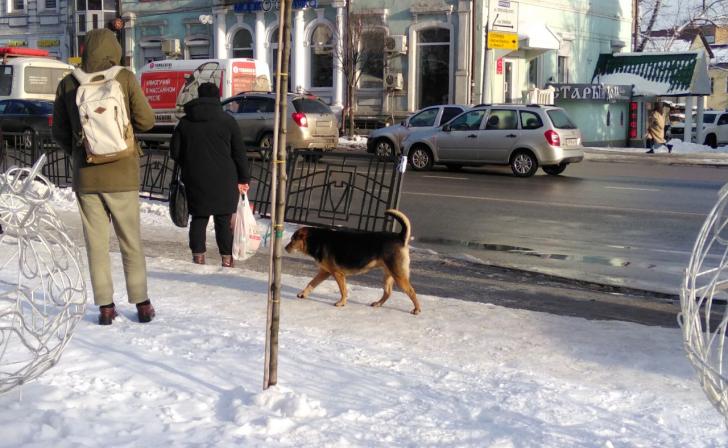 Колобома зрачок кошачий глаз. Сложное предложение с союзом и. В глазах людей запятая. Картина глаза. В глазах людей запятая.