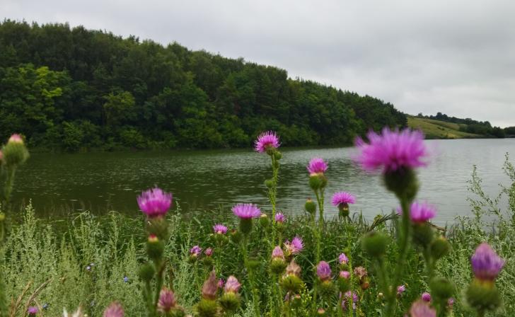 Курская область попала в список наименее загрязнённых регионов