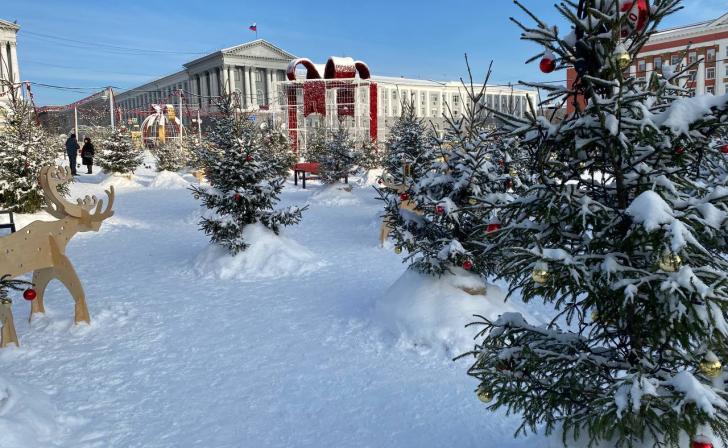 Курян научат делать украшения из шерсти