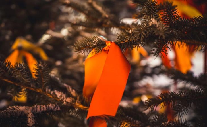 В Курске на месте «Красного леса» появится весенняя зона отдыха