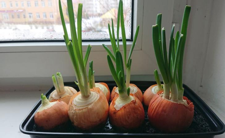 В Курске 5 марта будет плюс 1 и облачно с прояснениями