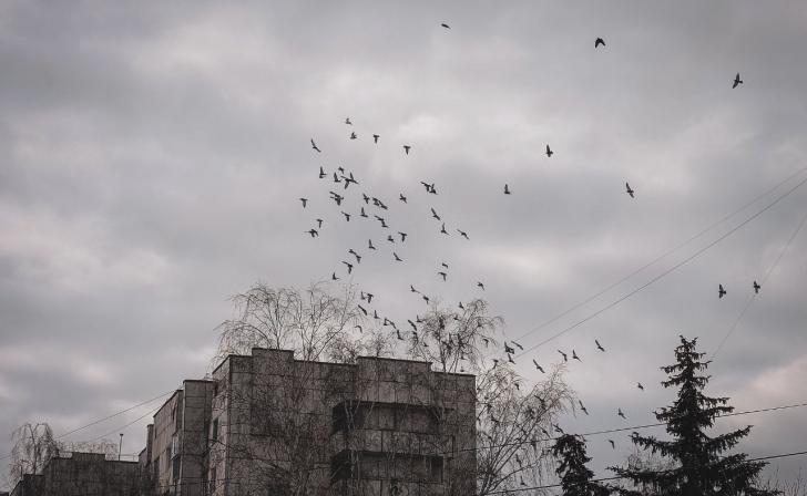 В Курской области сбили украинский беспилотник