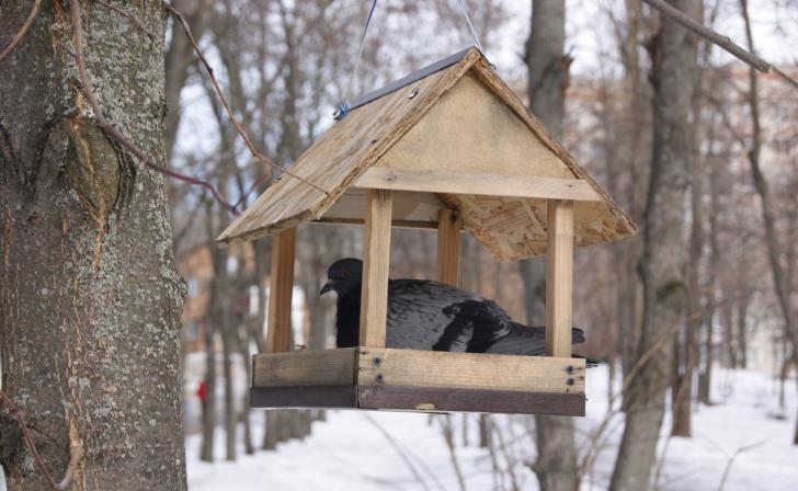 В Курске 22 марта днем обещают ясную погоду и плюс 8, на выходных дожди