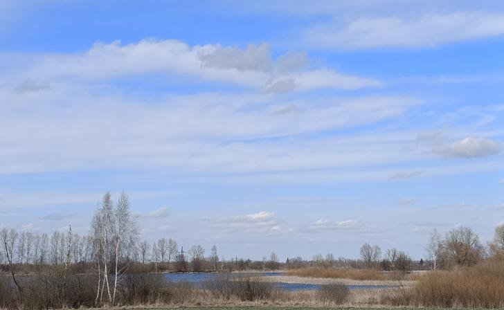 1 апреля в Курской области ожидается до 23 градусов тепла
