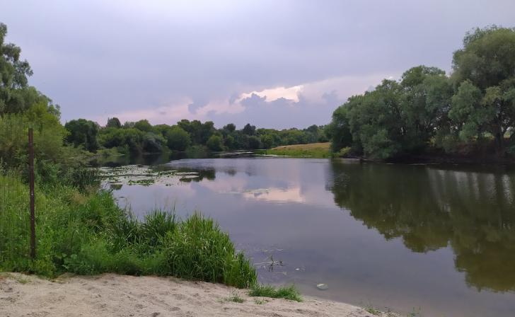 «Курскводоканал» выплатил 12,6 млн рублей за мор рыбы в реке Сейм «Курскводоканал» выплатил 12,6 млн рублей за мор рыбы в реке Сейм